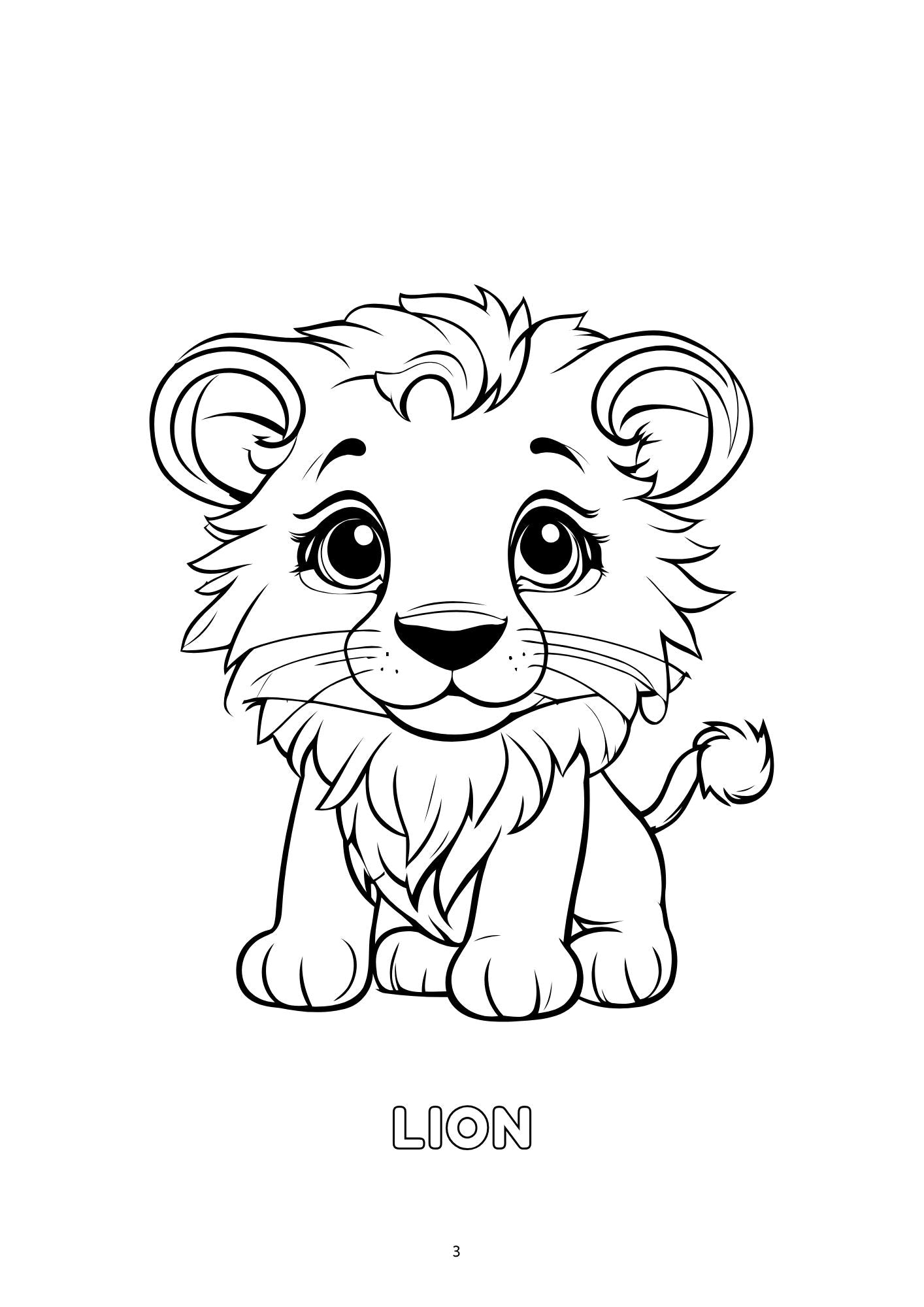 Colouring Book Combo